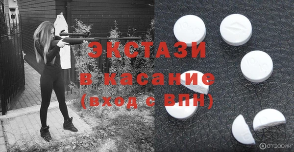 индика Кинешма