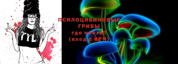 индика Кинешма