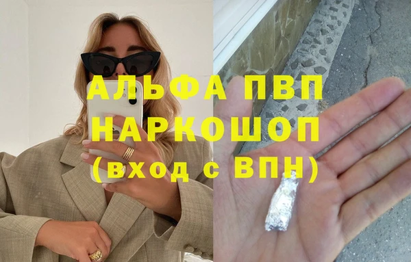 индика Кинешма