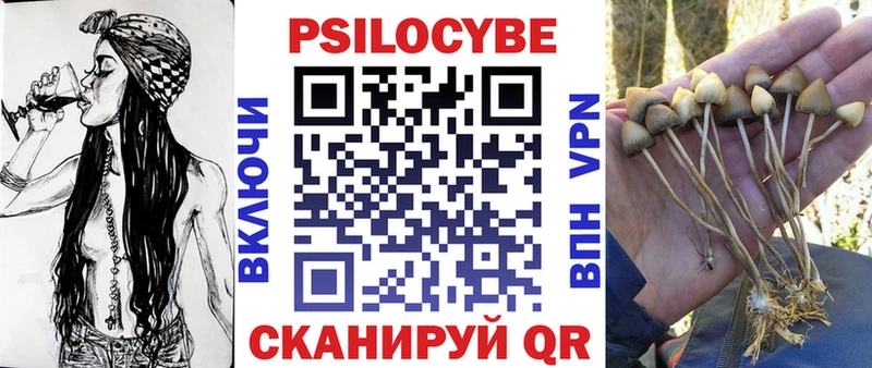 даркнет клад  Мелеуз  Галлюциногенные грибы GOLDEN TEACHER  наркошоп 